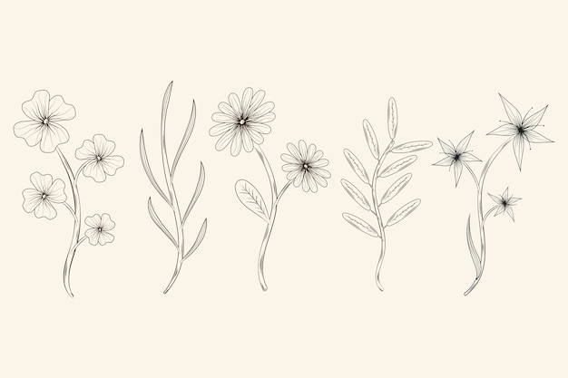 Free Vector realistic hand drawn herbs & wild flowers