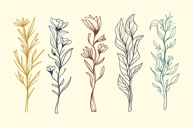 Realistic hand drawn herbs & wild flowers