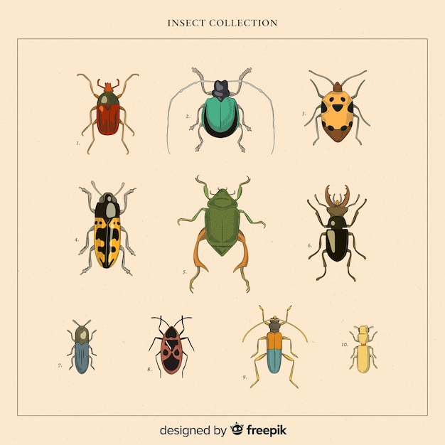 Realistic hand drawn insects pack