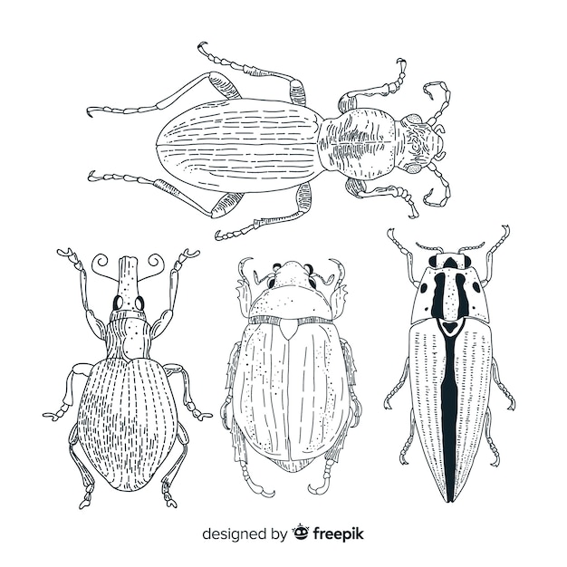 Free Vector realistic hand drawn insects sketch pack