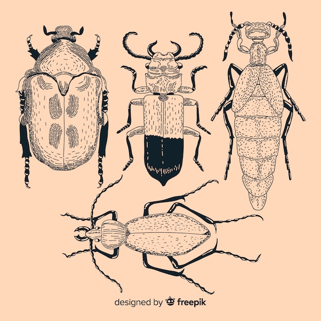 Realistic hand drawn insects sketch pack