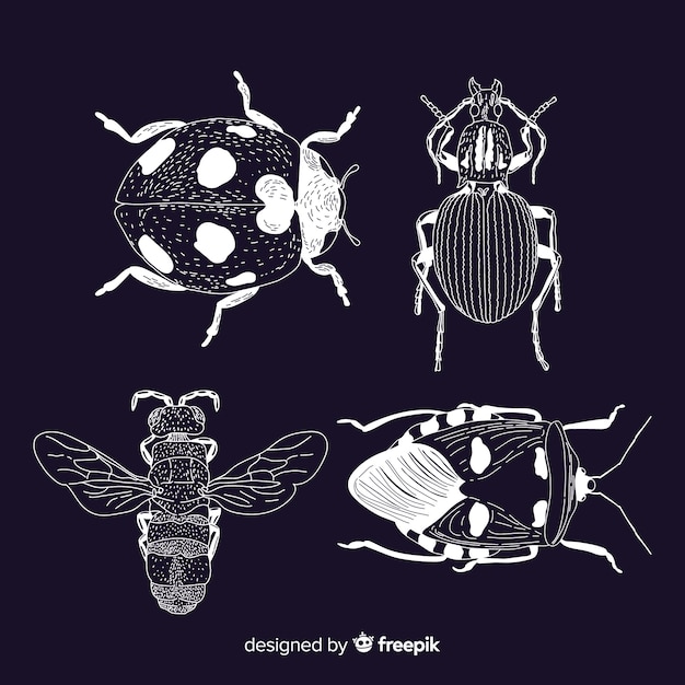 Free vector realistic hand drawn insects sketch pack