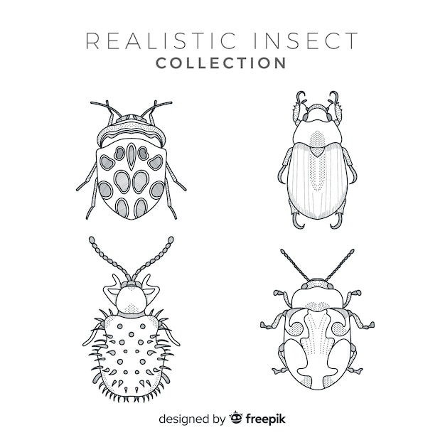 Realistic hand drawn insects sketch set