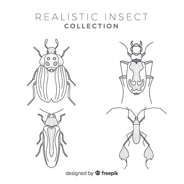 Realistic hand drawn insects sketch set