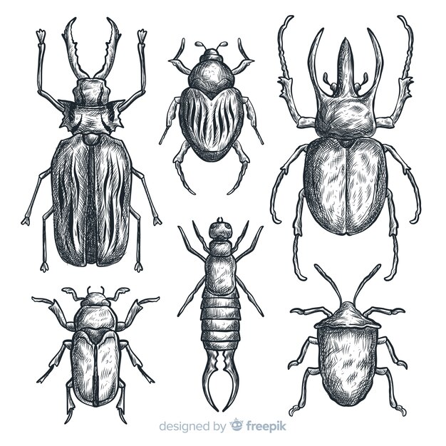 Realistic hand drawn insects sketch set