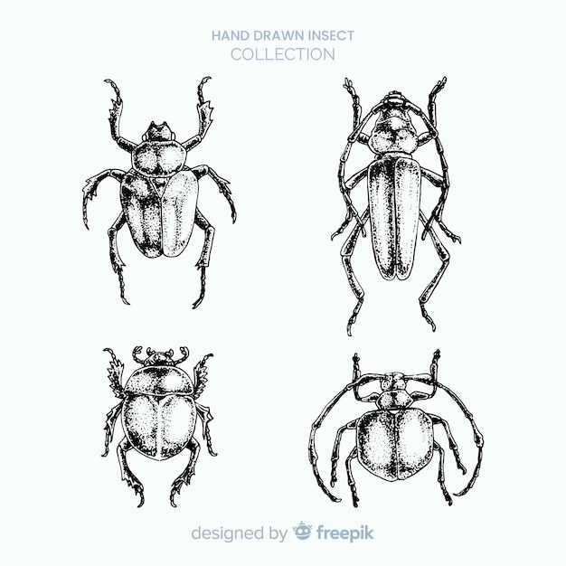 Free Vector realistic hand drawn insects sketch set