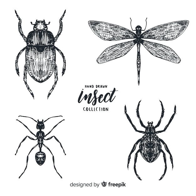 Realistic hand drawn insects sketch set