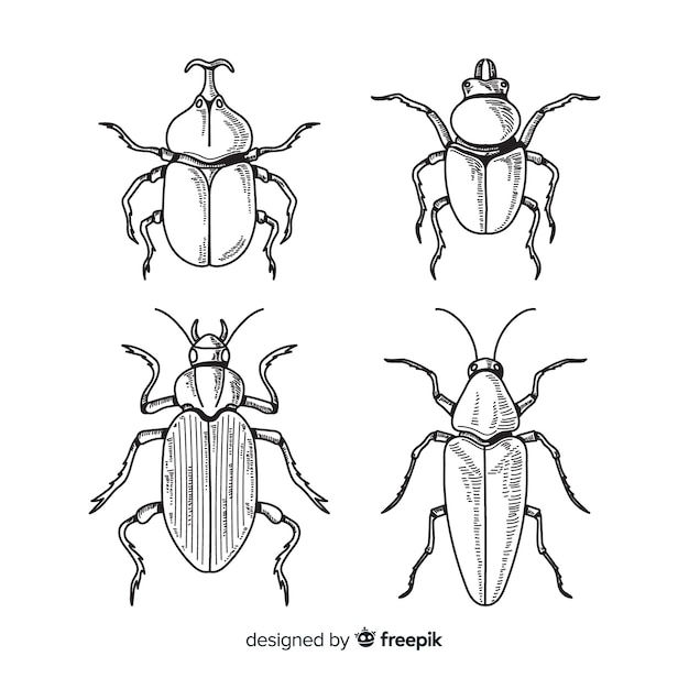 Free vector realistic hand drawn insects sketch set