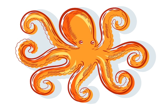 Free Vector realistic hand drawn octopus