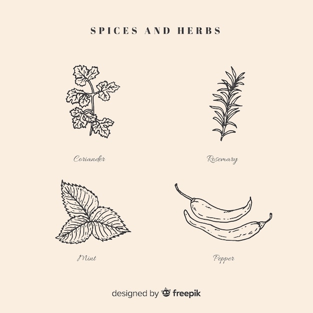 Free Vector realistic hand drawn spices and herbs sketches collection