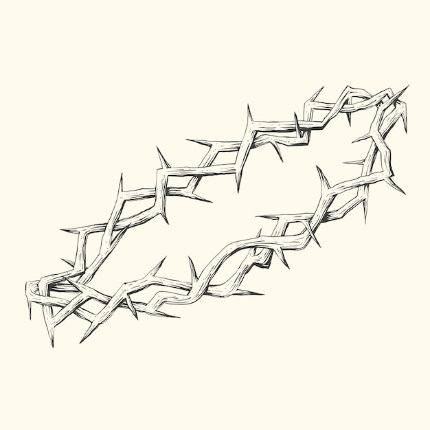 Free Vector realistic hand drawn thorns borders