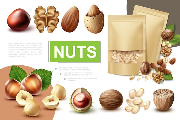 Free Vector realistic healthy nuts composition with walnut hazelnut macadamia nutmeg almond chestnut and packages of pine nuts