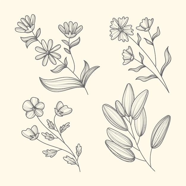 Realistic herbs and wild flowers