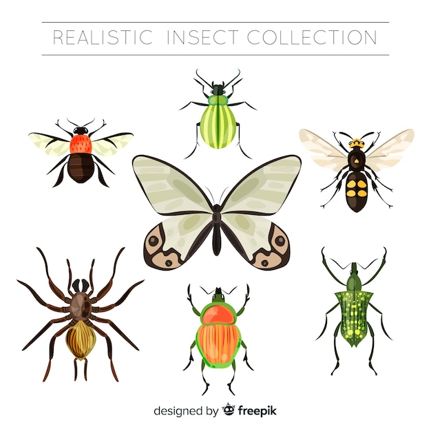 Realistic insect collection