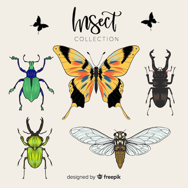 Realistic insect collection