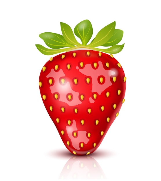 Free Vector realistic juicy strawberry isolated