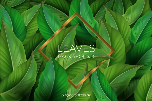 Realistic leaves with golden frame background