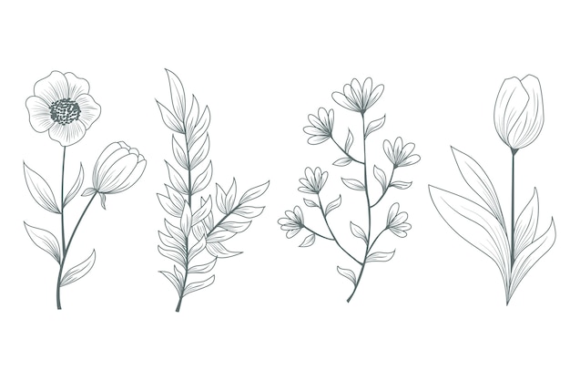 Free Vector realistic natural wild flowers and herbs