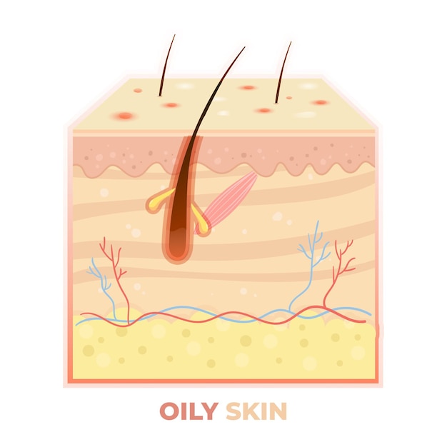 Free Vector realistic oily skin layer illustration