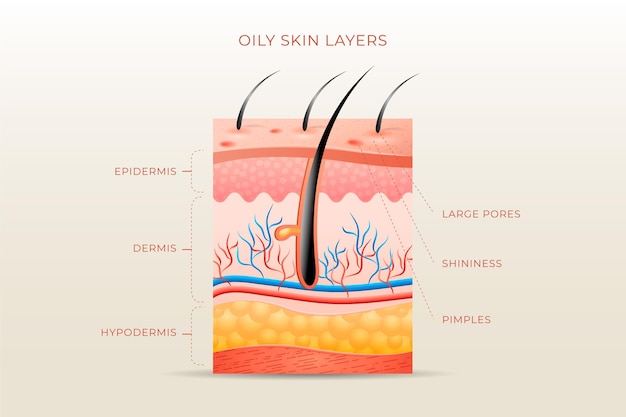 Realistic oily skin layers illustration