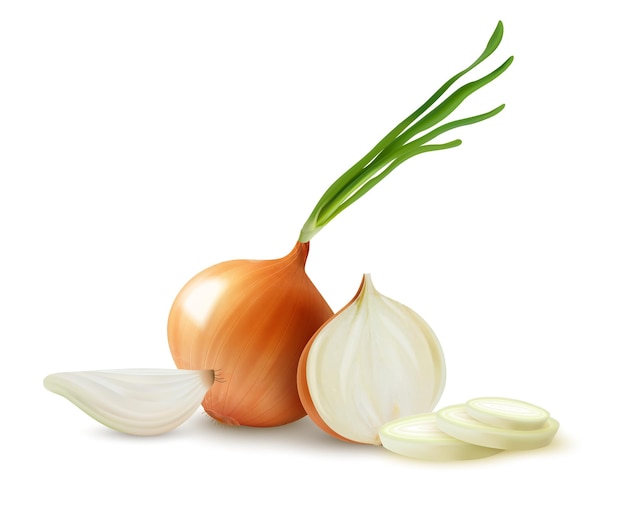 Realistic Onion Composition