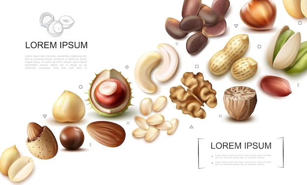 Free Vector realistic organic nuts collection with cashew pistachio chestnut macadamia nutmeg walnut hazelnut almond peanut pine brazil nuts