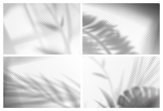 Free Vector realistic palm and monstera leaves with shadow overlay effects on transparent background sunlight