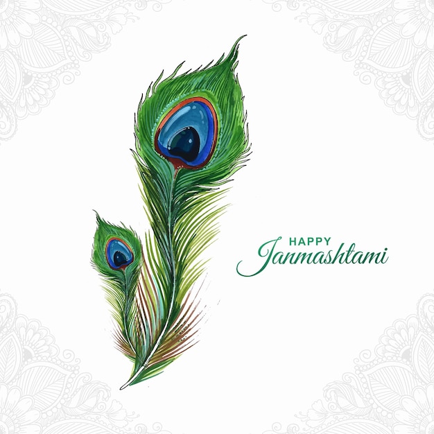 Free Vector realistic peacock feather watercolor on happy janmashtami card design