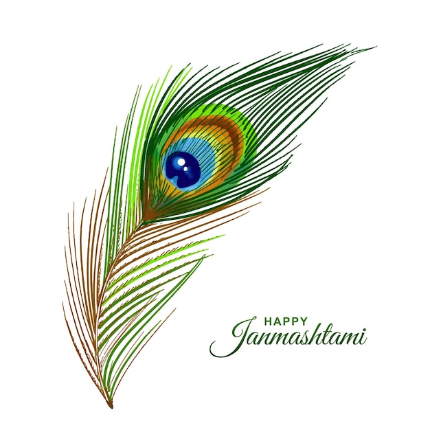 Free Vector realistic peacock feather watercolor on happy janmashtami card design