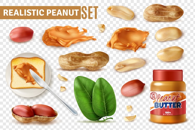 Free vector realistic peanut on transparent  set with isolated arachis beans with shell and jar of butter