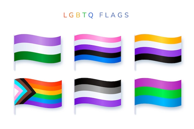 Realistic pride month flags collection