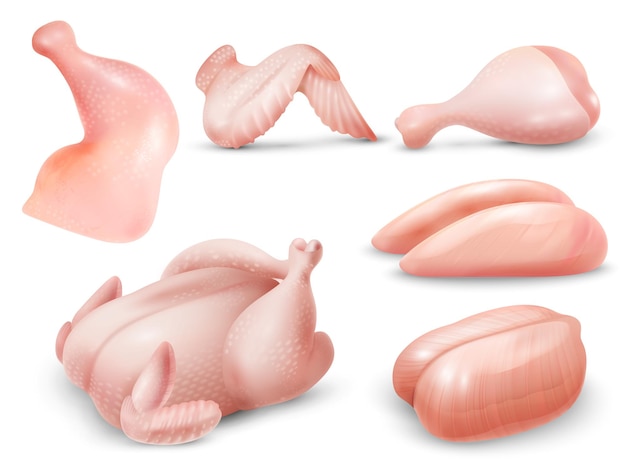 Free vector realistic raw chicken meat set with carcass breasts wing leg quarter isolated vector illustration