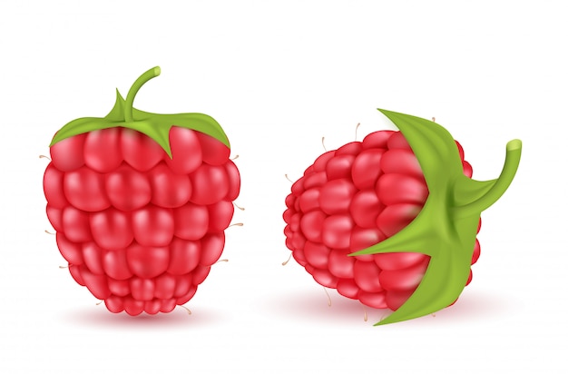 Free Vector realistic red ripe raspberries isolated on background. natural summer fruit