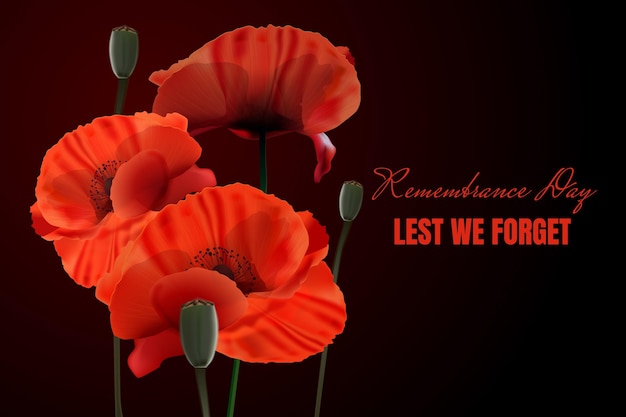 Free Vector realistic remembrance day background