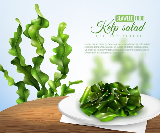 Free Vector realistic sea weed salad banner