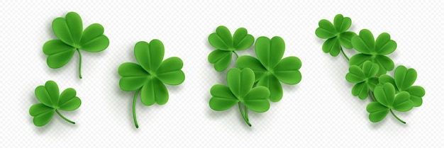 Free Vector realistic set of clover leaves on transparent