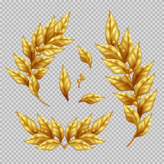 Realistic set of golden laurel branches and  leaves on transparent isolated Illustration