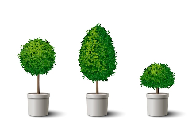 Free Vector realistic set of small potted green trees with crowns of different shapes isolated vector illustration