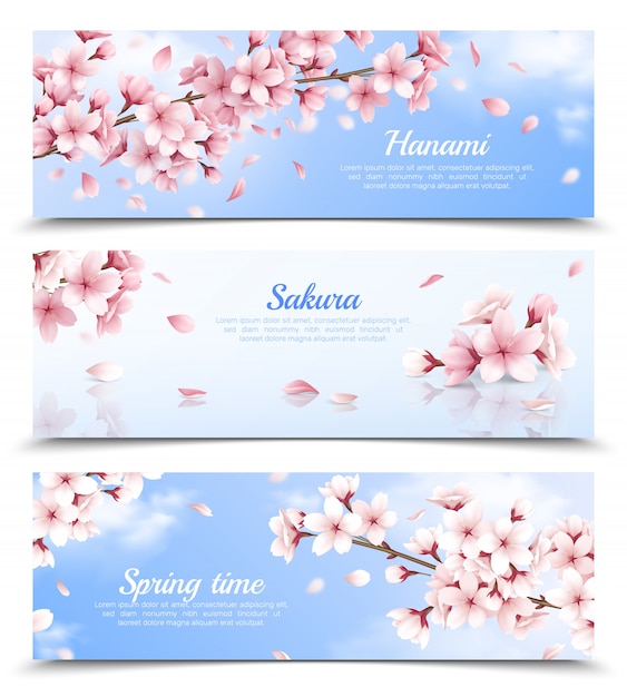 Free Vector realistic set of three horizontal banners with blossoming sakura flowers on blue sky background isolated illustration