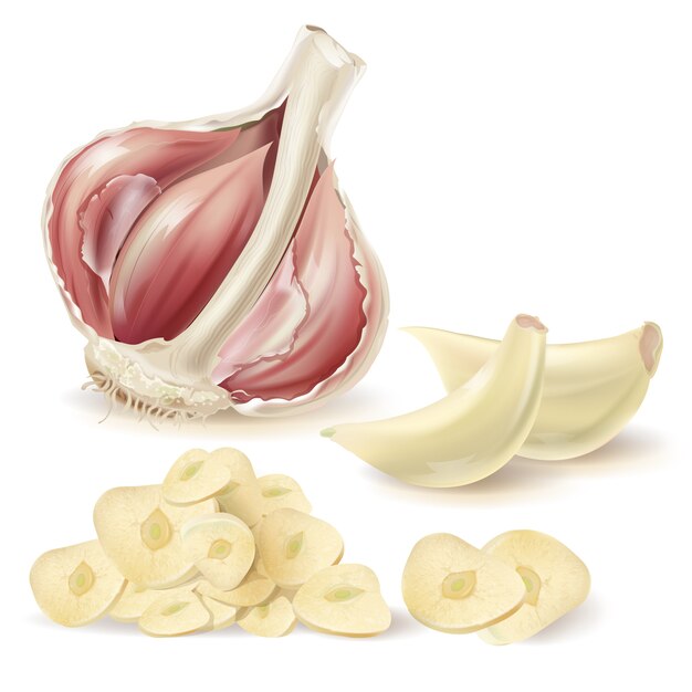 realistic set with half head of garlic, peeled cloves and chopped slices