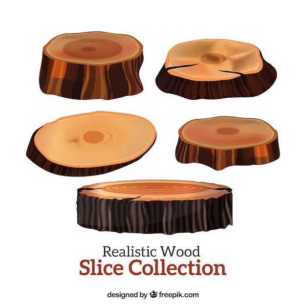 Free Vector realistic slices wooden