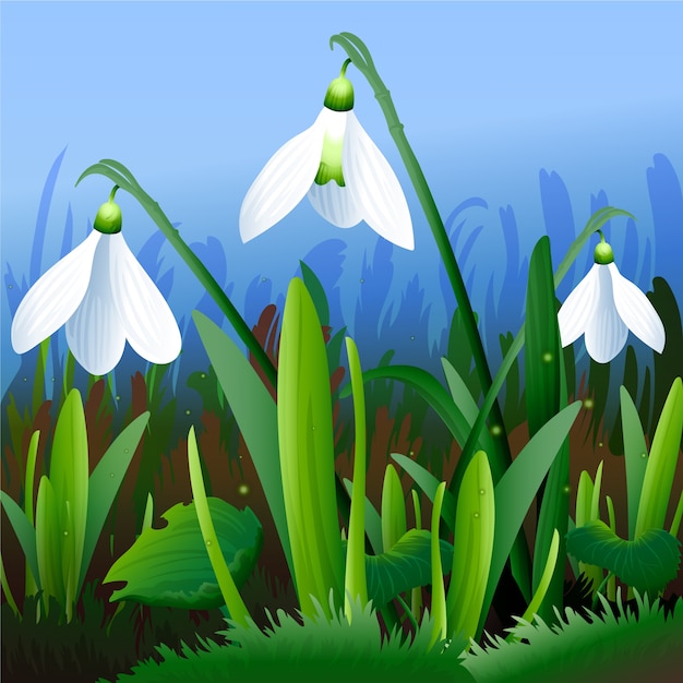 Realistic snowdrop flower illustration