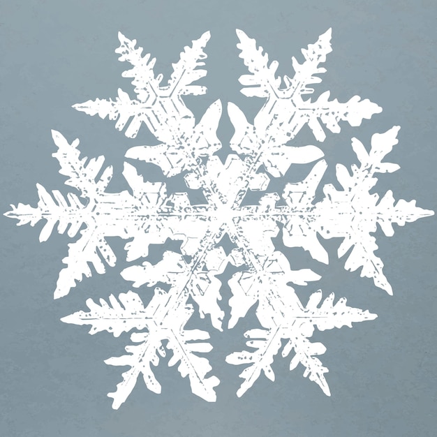 Free vector realistic snowflakes element vector in blue background