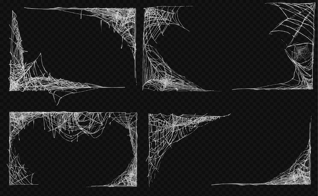 Realistic spiderweb set