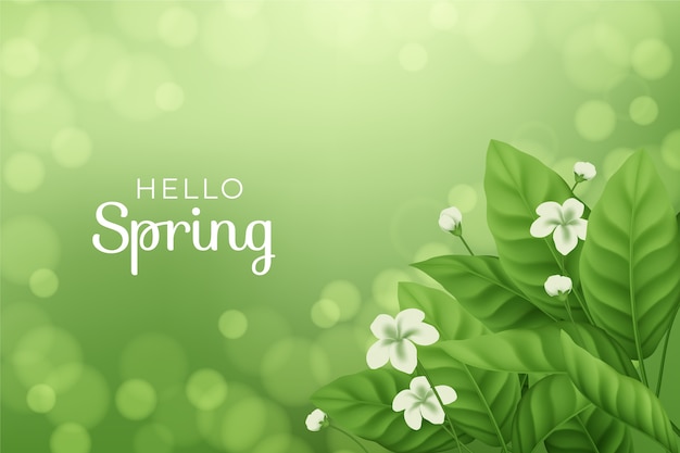 Realistic spring background with flowers and leaves