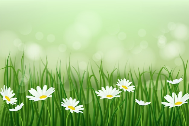 Free vector realistic spring background