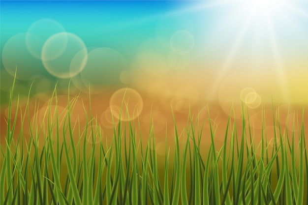 Free Vector realistic spring background