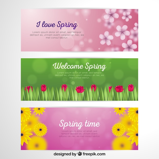 Realistic spring card collection