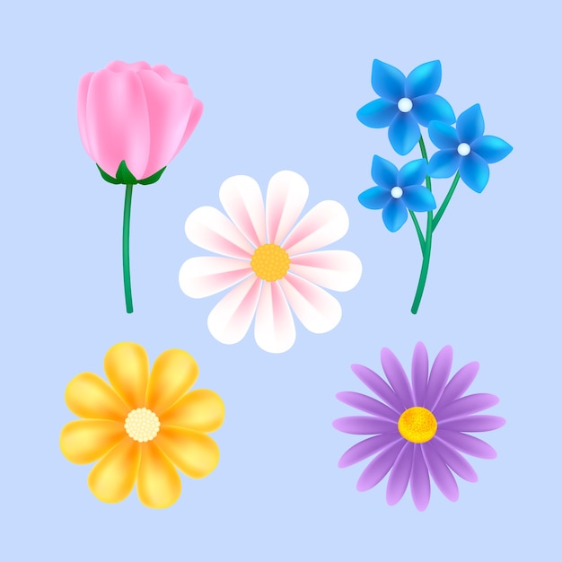 Free Vector realistic spring element set collection