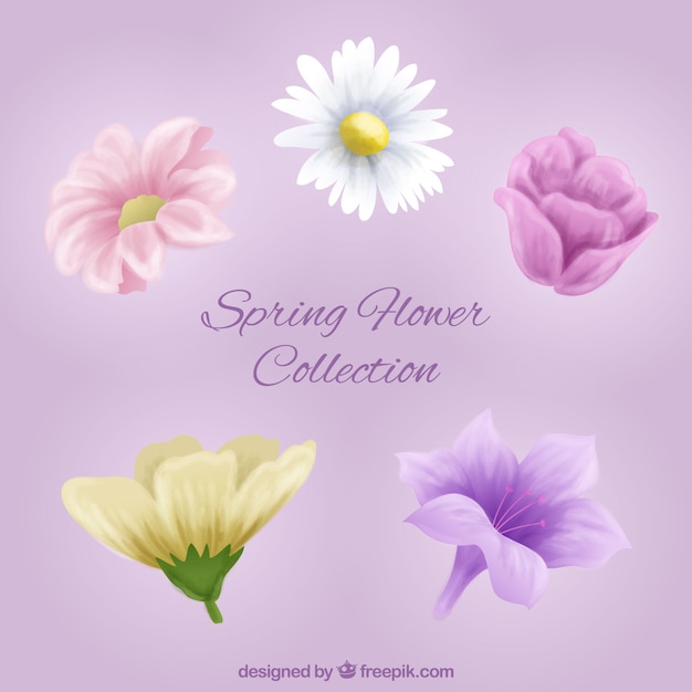 Free Vector realistic spring flower collection